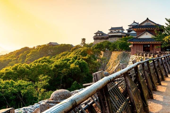 Japans Landscapes end Kyoto by Europamundo - 11-Day Tour (2026-27 Departures) - Kyoto by bullet train, then Nara and Osaka
