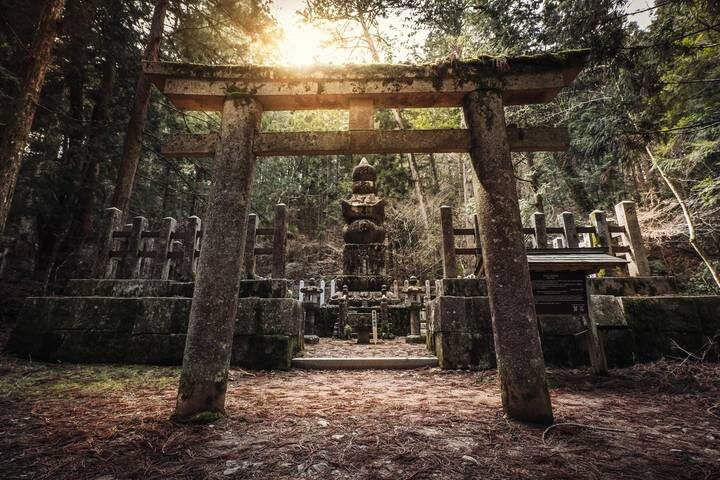 Japans Landscapes end Kyoto GO by Europamundo - 11-Day Tour - Kyoto begins with shrines and a fast train