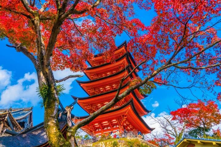 Japans Landscapes GO 14-Day Tour by Europamundo - Tokyo’s temples, crossing, and high-up views