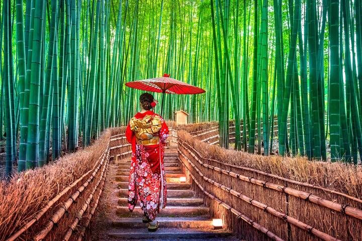 Japans Landscapes GO 14-Day Tour by Europamundo - What the price includes, and what it doesn’t