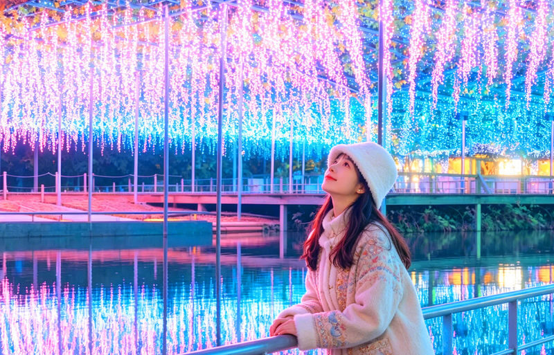 Japans Top 3 Illumination Shows: Ashikaga Flower Park & Ibaraki Ocean View Day Trip (Departing from Tokyo) - What makes this day trip worth considering