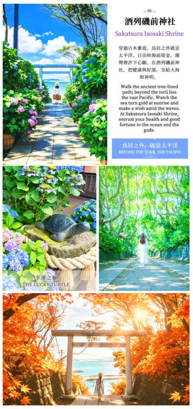 Japans Top 3 Illumination Shows: Ashikaga Flower Park & Ibaraki Ocean View Day Trip (Departing from Tokyo) - Why the night show is the main event