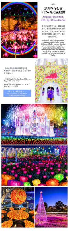 Japans Top 3 Illumination Shows: Ashikaga Flower Park & Ibaraki Ocean View Day Trip (Departing from Tokyo) - Food, price and what is included