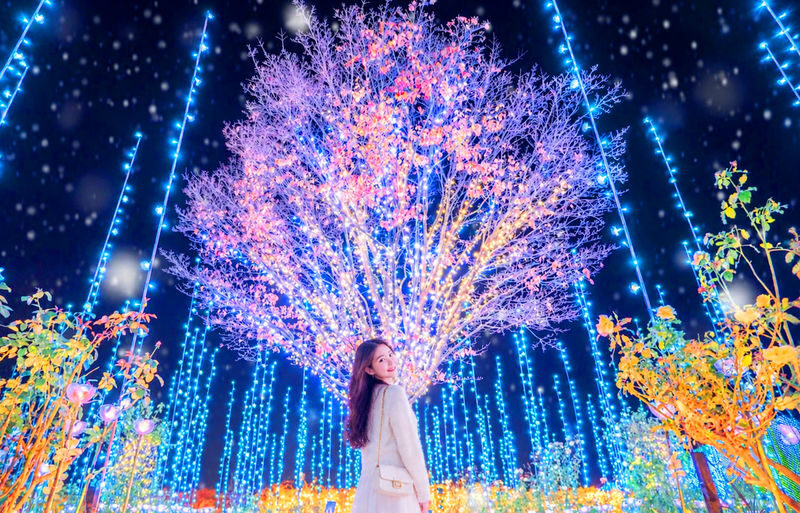 Japans Top 3 Illumination Shows: Flower Garden of Light & Ibaraki Lucky Turtle & Nakaminato Fish Market & Oarai Isosaki Shrine One-Day Tour - A long day built around Ashikaga’s evening lights