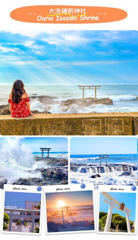 Japans Top 3 Illumination Shows: Flower Garden of Light & Ibaraki Lucky Turtle & Nakaminato Fish Market & Oarai Isosaki Shrine One-Day Tour - Who should book this Ibaraki day trip