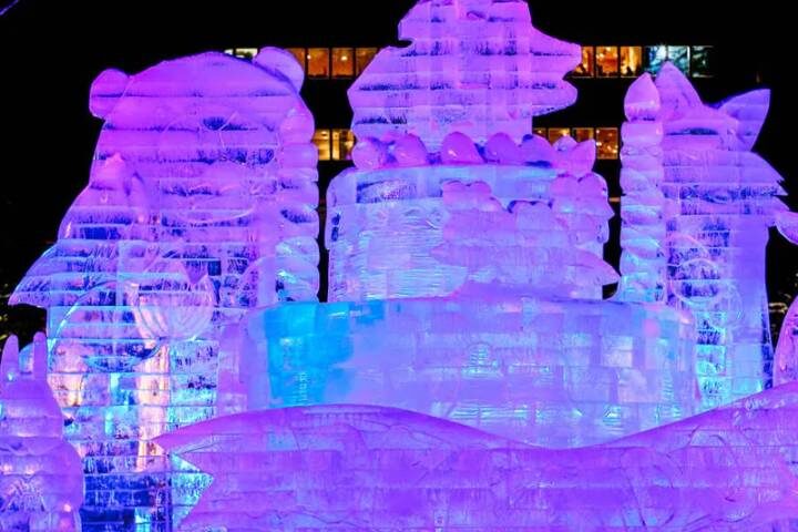Japan Sapporo Snow Festival by Explore! - 11-Day Tour - Kyoto’s gardens, tea and free day