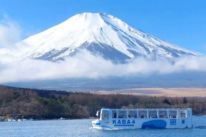 Japan Self-Guided - 12 Nights 3 Star Hotel by Vio Travel: Tokyo to Osaka Tour - Mount Fuji: a full coach day with several stops