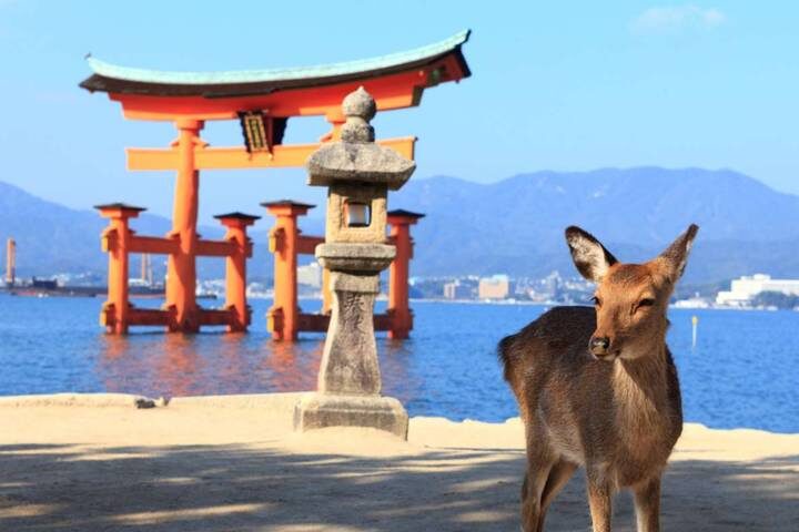 Japan Self-Guided - 12 Nights 3 Star Hotel by Vio Travel: Tokyo to Osaka Tour - Osaka: an easy finish, with hotel details to confirm