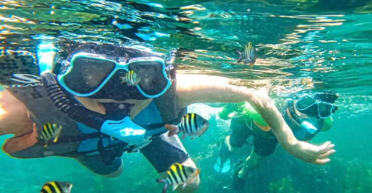 Japan: Snorkeling Adventure on a Boat - Detailed Itinerary