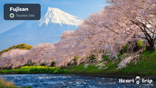 Japan : The Only Guide - Planning Your Japan Adventure