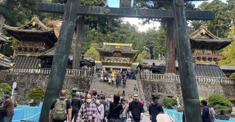 Japan: Tokyo and Countryside Private Tour with Guide - The Dining Experience