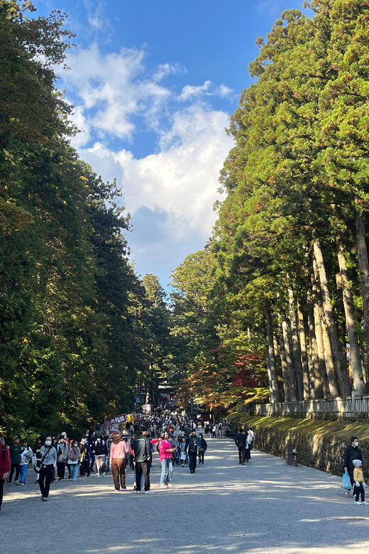 Japan: Tokyo and Countryside Private Tour with Guide - Transportation and Comfort