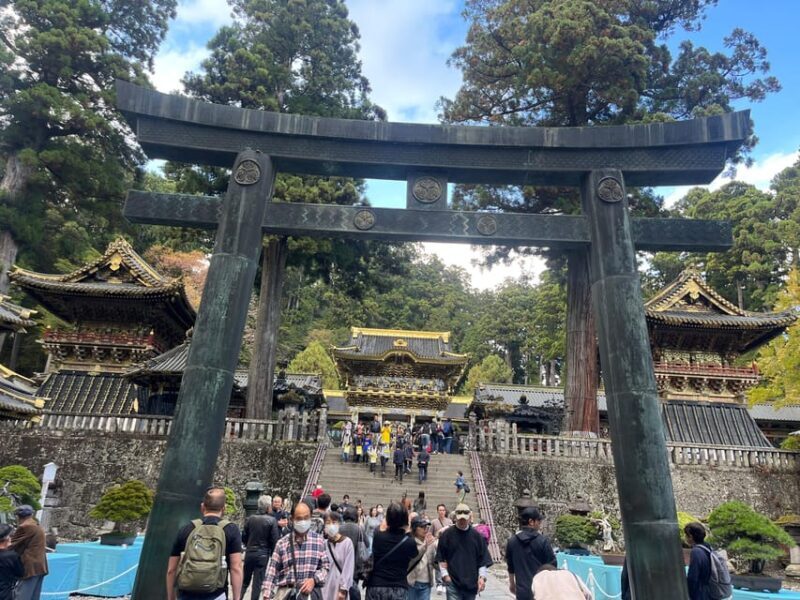 Japan: Tokyo and Countryside Private Tour with Guide - Authentic Insights from Past Travelers