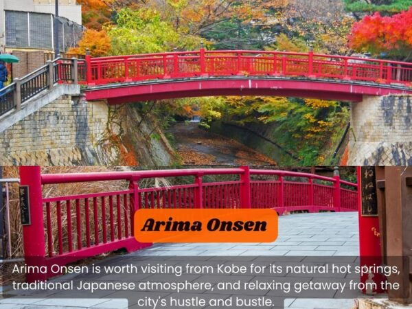 JAPAN Tour: 10-DAY JAPAN TOUR With English Speaking Driver. - Accessibility Features