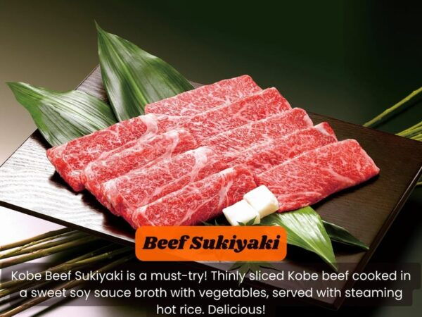JAPAN Tour: 10-DAY JAPAN TOUR With English Speaking Driver. - Booking and Cancellation Policy
