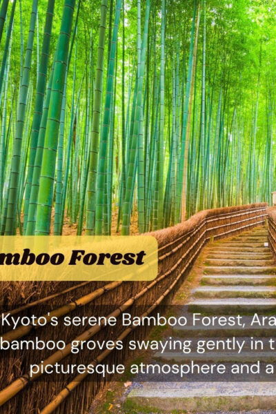 JAPAN Tour: 10-DAY JAPAN TOUR With English Speaking Driver. - Frequently Asked Questions