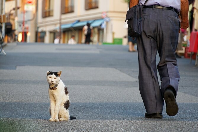 Japan Travel in Tokyo Nostalgia Customized Private Walking Tour - Additional Info