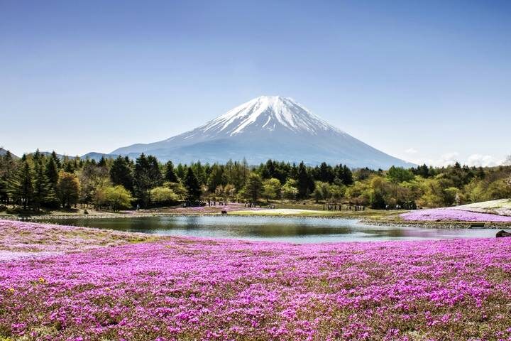 Japan Uncovered - 11 days by On The Go Tours - At a glance