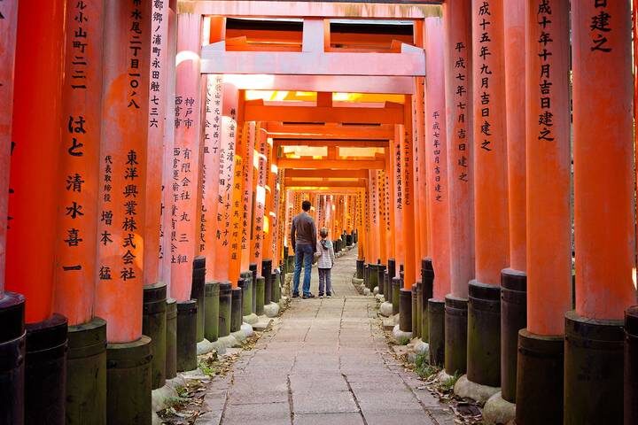 Japan Uncovered - 11 days by On The Go Tours - Should you book Japan Uncovered?