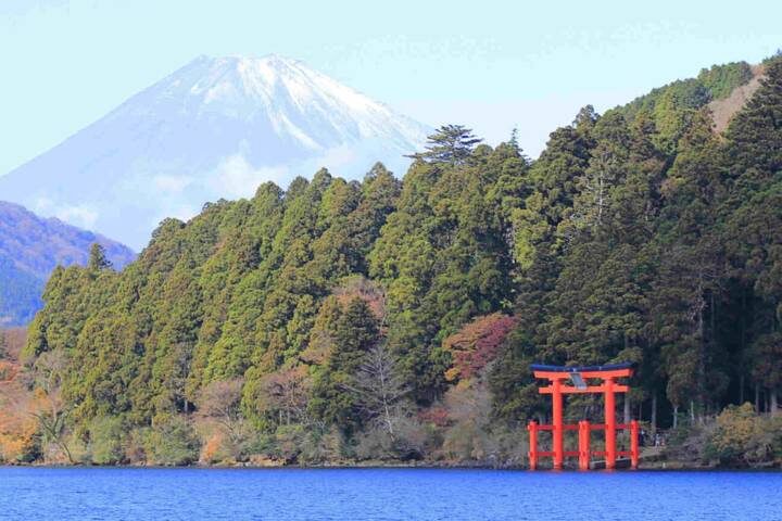 Japan - Unveiled Beyond the Surface 8-Day Tour by Vio Travel - Tokyo starts with room to find your footing