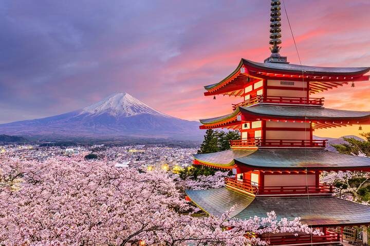 Japan - Unveiled Beyond the Surface 8-Day Tour by Vio Travel - Osaka shifts the focus from temples to food