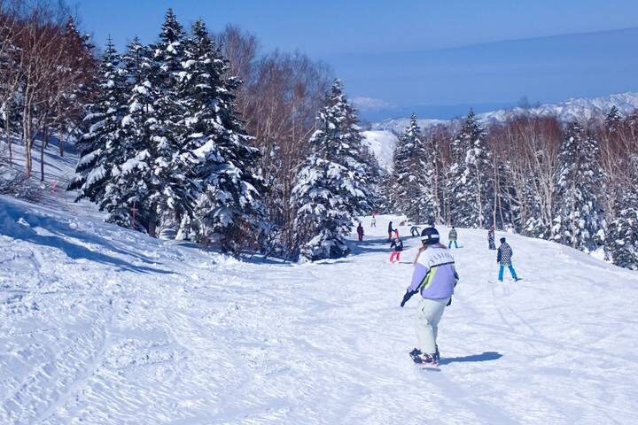 Japan Winter Classic 11 Day - One Life Adventures: from Tokyo - A winter route with plenty of variety