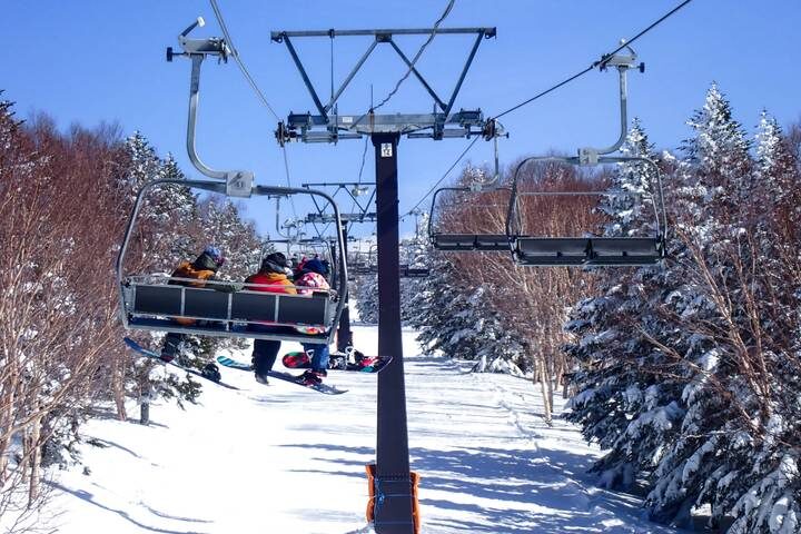 Japan Winter Classic 11 Day - One Life Adventures: from Tokyo - Nagano: snow monkeys and a hot-spring choice
