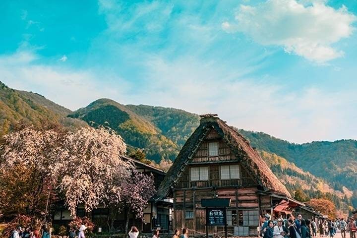 Japan World Heritage 13-Day Tour by MW Tours - A guided framework, with room to make the trip your own