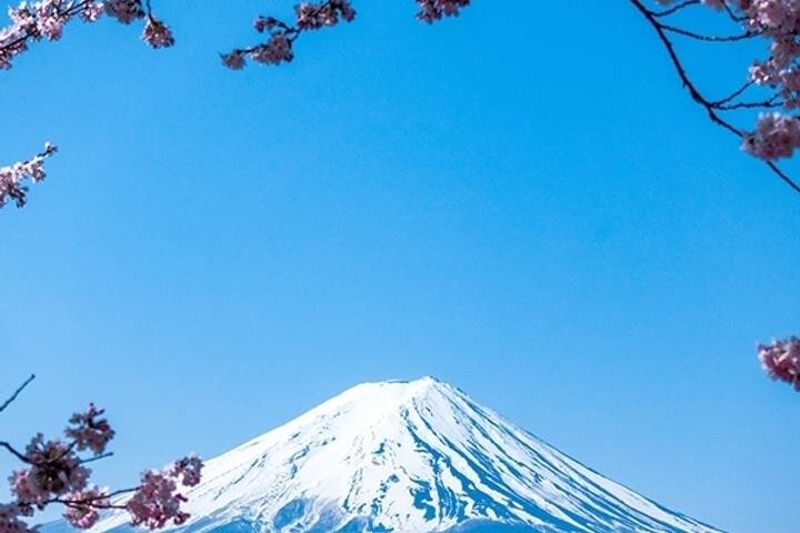 Japan World Heritage 13-Day Tour by MW Tours - Kyoto’s famous temples, with a day to choose your own pace