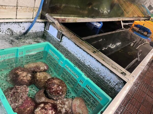 Japanese Food and Culture Tour in Shinjuku - Frequently Asked Questions