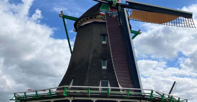 Japanese Proposal: "Windmill Village in Zaanse Schans, Half-Day Tour." - Highlights and Experiences