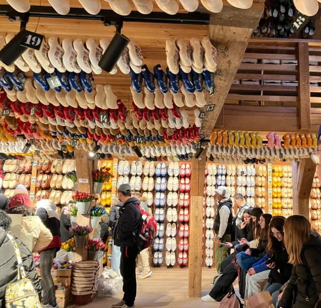 Japanese Proposal: "Windmill Village in Zaanse Schans, Half-Day Tour." - What to Expect