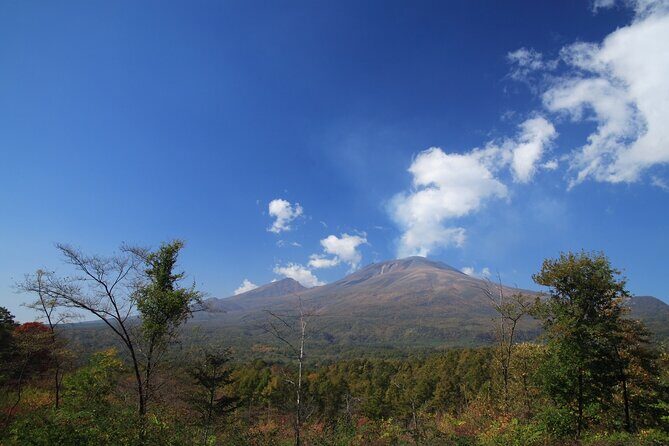 Japanese Serow Watching Tour - Final Thoughts