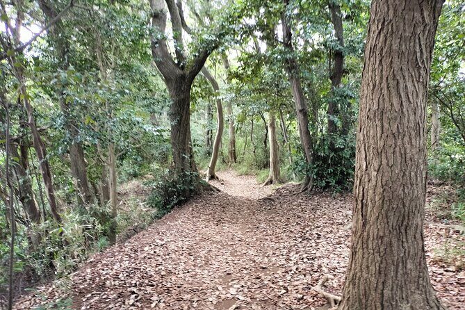 Japanese Sweets and Trekking Tour in Kamakura - FAQ