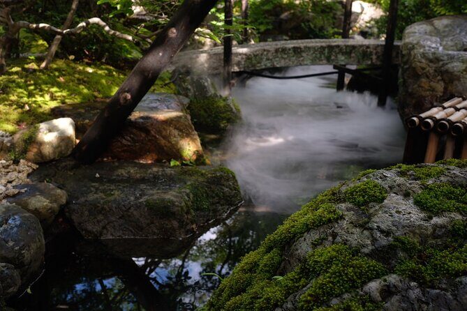 Japanese Tea Ceremony - The Tea Rituals: Matcha and Sencha