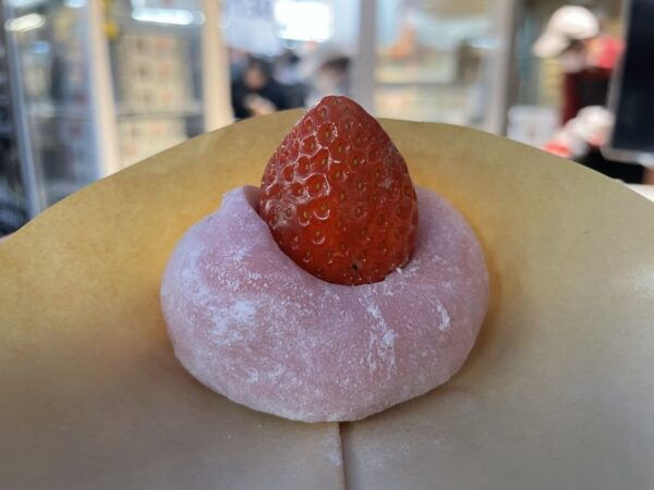 Japanese Traditional Sweets Tour in Asakusa - Inclusions of the Tour