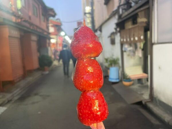 Japanese Traditional Sweets Tour in Asakusa - Participants and Meeting Point Details