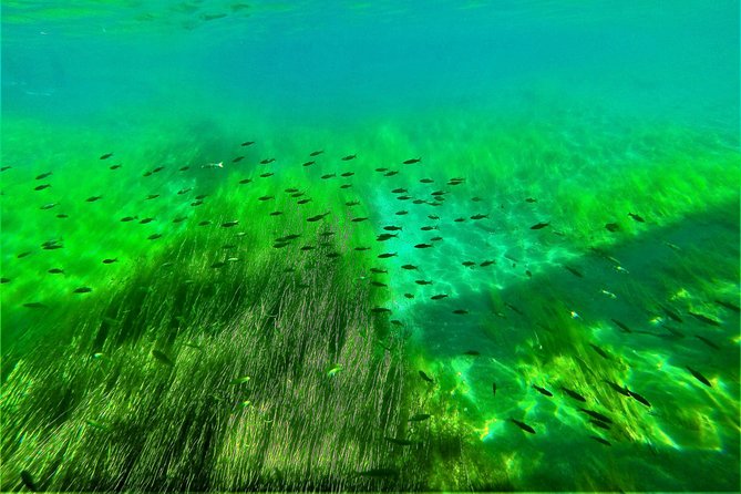 Japans No. 1 Water Quality National Lake Shikotsu, Hokkaidos First Landing Clear Kayak Tour Difficul - Overview