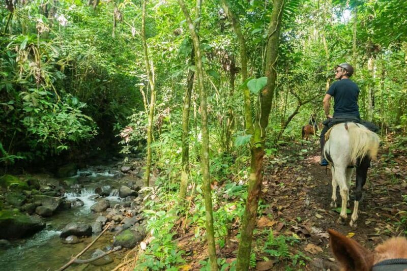 Jarabacoa: Private Baiguate Waterfall Horseback Riding Tour - The Practicalities: What to Bring and What to Know