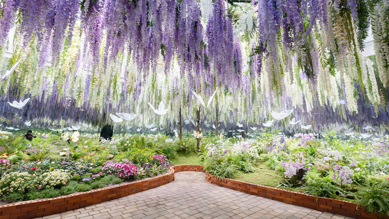 Jaraseom Flower Festa - Begonia Bird Garden Day Tour - Should you book the Jaraseom and Begonia route?