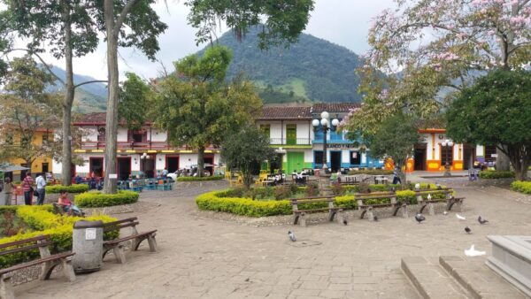 Jardin Coffee Lovers Private Tour - The Sum Up