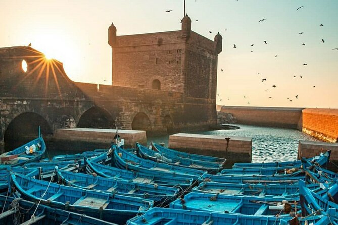 Jardin Majorelle Tour - Marrakech - Tour Duration and Meeting Point