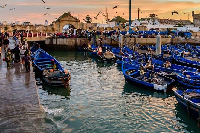 Jardin Majorelle Tour - Marrakech - Minimum Number of Travelers and Refund Options