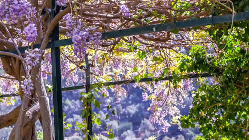 Jardines de Alfabia ticket in Mallorca - Reaching Alfabia by bus