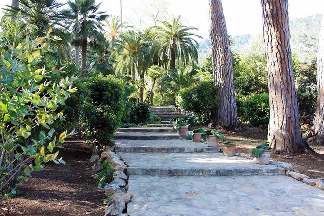 Jardines De Alfabia Tickets - Reviews of Jardines De Alfabia