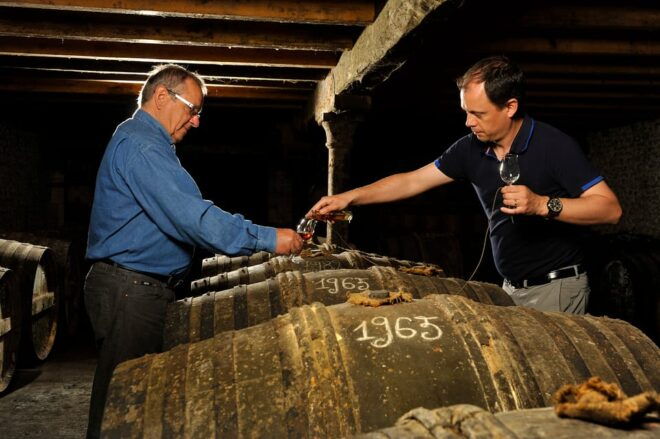 Jarnac-Champagne: Tour at Château Montifaud Cognac - Educational Aspects