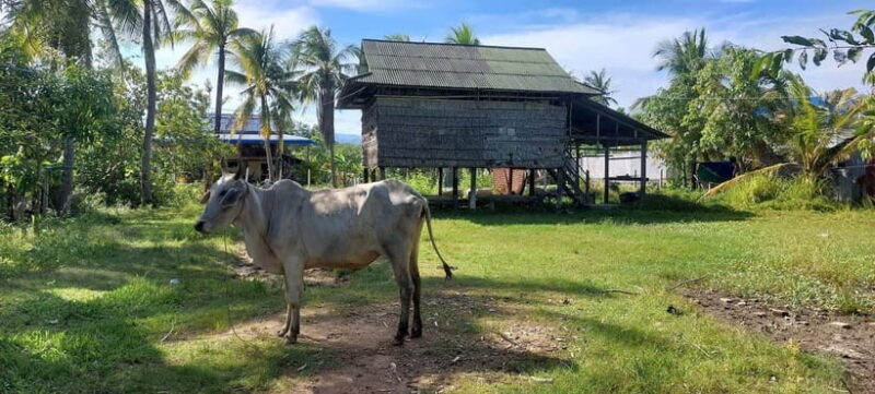 Jason's Countryside Experience - An In-Depth Look at Jason’s Countryside Experience