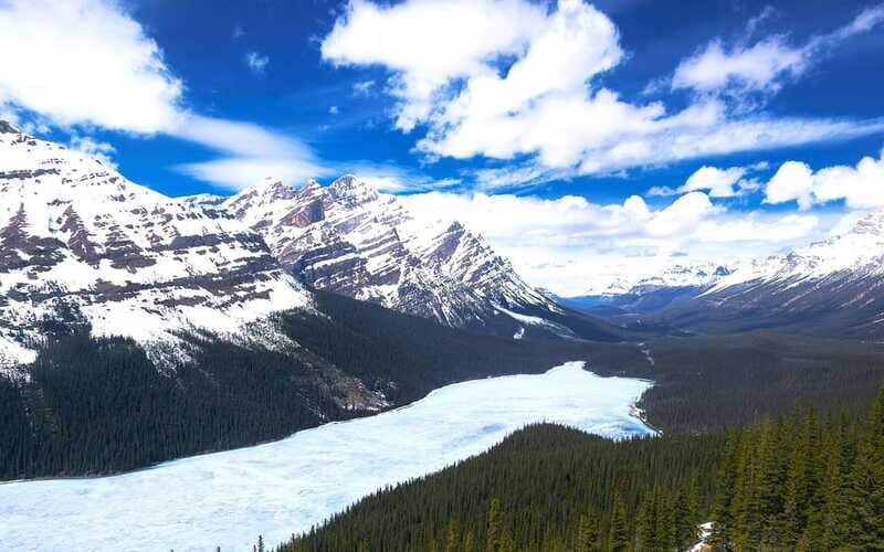 Jasper: Day Tour to Jasper's Lakes & Banff Canyon - Additional Insights from Reviews