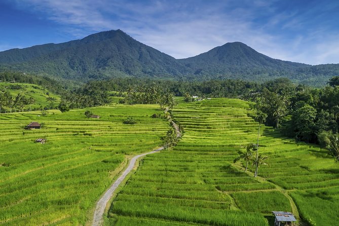 Jatiluwih E-bike - Pricing Information