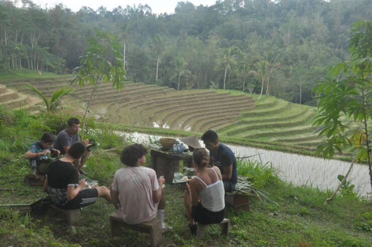 Jatiluwih : Highlights Trekking Best Bali Nature & Cultural - Location Overview
